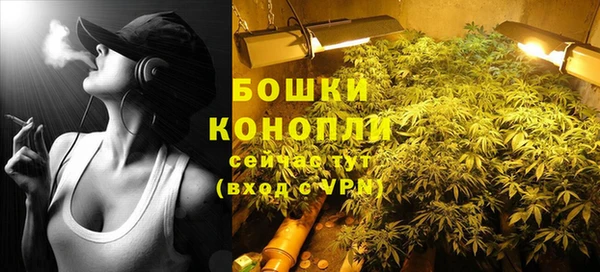 крисы Беломорск