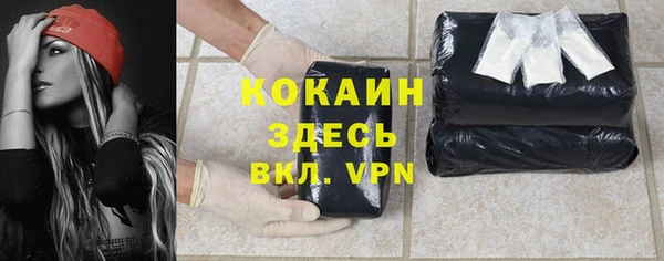 сатива Белоозёрский